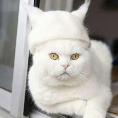 可爱图片萌萌哒卡通头像(14张)