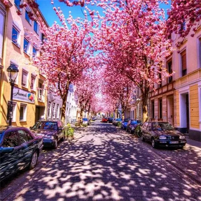 中年人微信头像风景图片(精选28张)