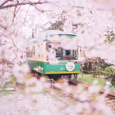 中年人微信头像风景图片(精选28张)