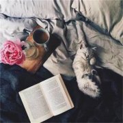 微信头像2023最新款风景图片(27张)