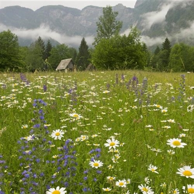 微信头像2023最新款风景图片(27张)