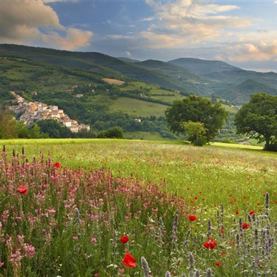 微信头像2023最新款风景图片(27张)