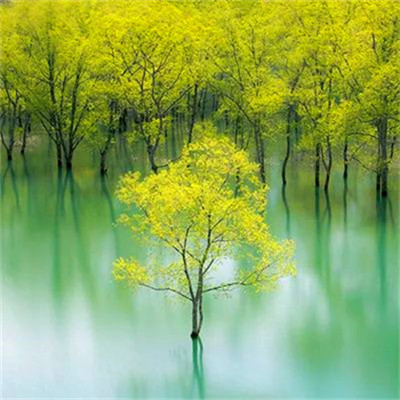 微信头像2023最新款风景图片(27张)