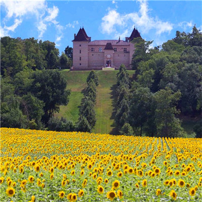 微信头像2023最新款风景图片(27张)