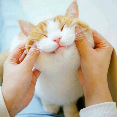 高清很逗情侣头像两人两张28张)