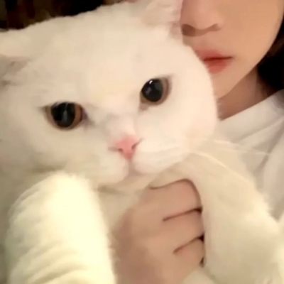 高清2023微信情侣头像(精选24张)