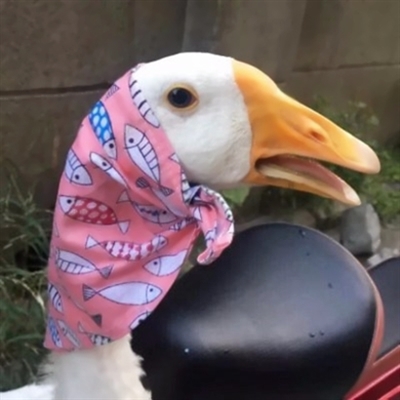 情侣头像搞笑可爱头像(精选24张)