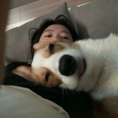 对象是动物系列情头图片(精选20张)