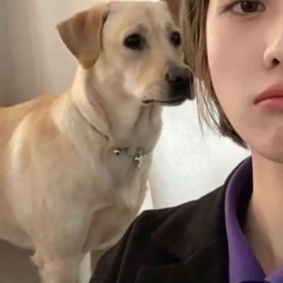 对象是动物系列情头图片(精选20张)