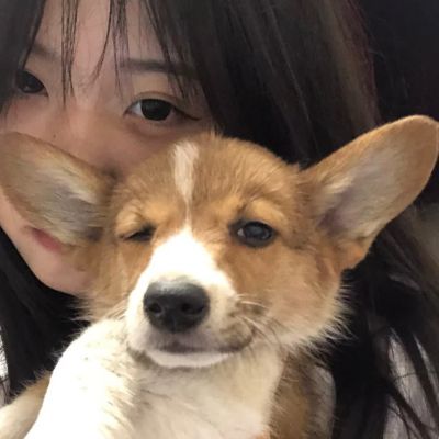 对象是动物系列情头图片(精选20张)