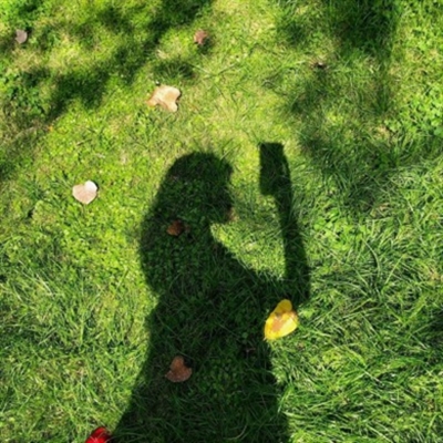 女生头像ins高级质感绿色(精选24张)