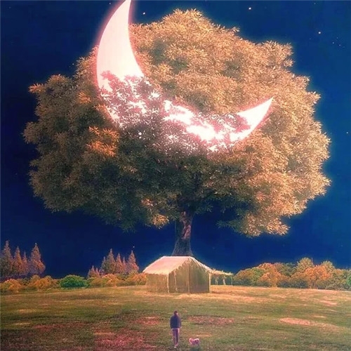 2023年爆火好看的微信头像图片(24张)