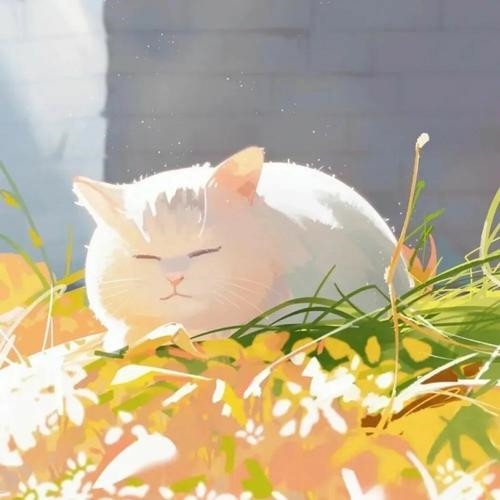 2023年爆火好看的微信头像图片(24张)