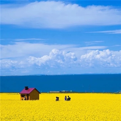 2023年新款流行微信头像图片(15张)