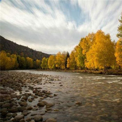 网络最火头像图片(精选18张)