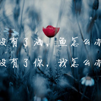 唯美意境风景带字头像(精选24张)