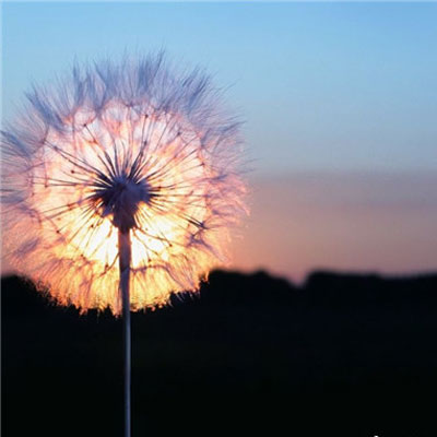 唯美意境风景微信头像(24张)