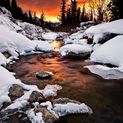 唯美意境风景微信头像(24张)