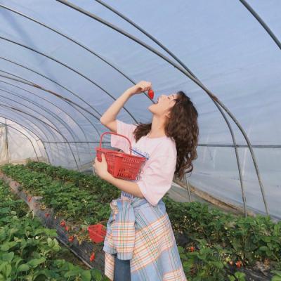 好看的时尚女头像可爱小清新图片(精选26张)