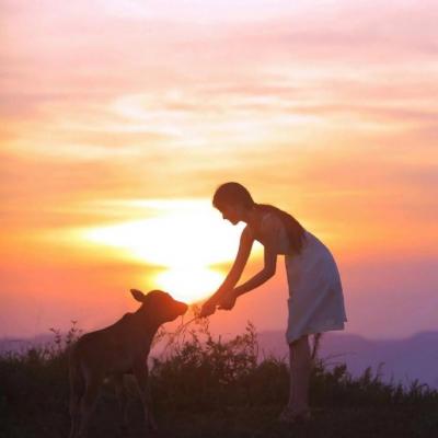 唯美高雅有诗意的微信头像图片女(24张)