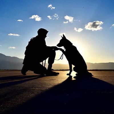 唯美高雅有诗意的微信头像图片男(精选24张)