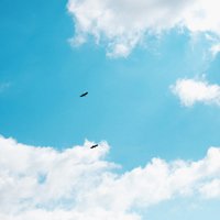 适合做头像的天空图片(精选18张)