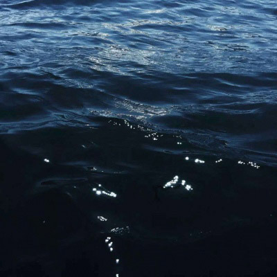 微信头像云朵图片女(精选24张)