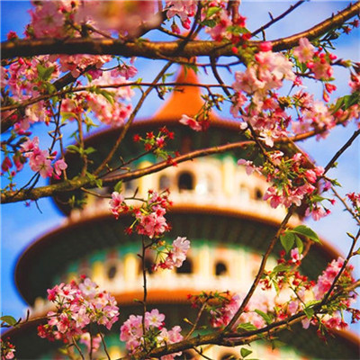 微信头像图片2023最新款云(26张)