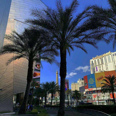 最适合男人的微信头像风景图片(24张)