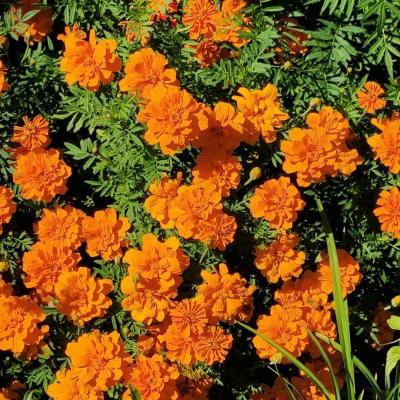 给人一种阳光的头像风景(精选24张)