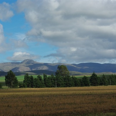 给人一种阳光的头像风景(精选24张)