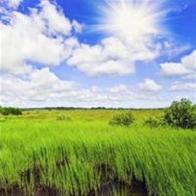 能让人心情阳光的头像(14张)