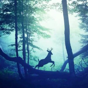 意境有档次的微信头像(精选18张)