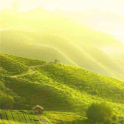 2023增强运气的微信头像男(精选21张)