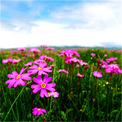 2023增强运气的微信头像男(精选21张)