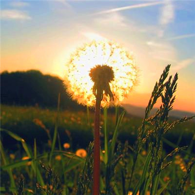 2023增强运气的微信头像男(精选21张)