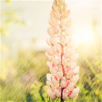 2023年提升运气的微信头像(24张)