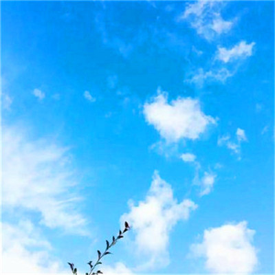 2023年提升运气的微信头像(24张)