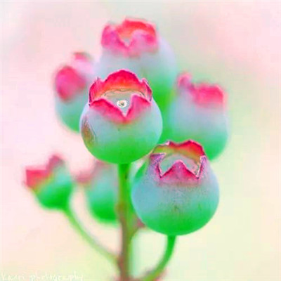 2023年提升运气的微信头像(24张)