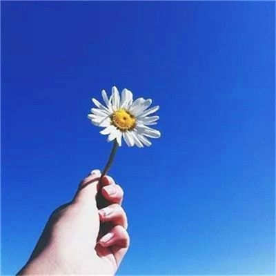 2023年提升运气的微信头像(24张)