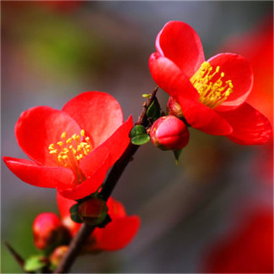 2023年提升运气的微信头像(24张)