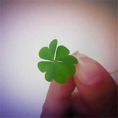 提升运气的微信头像图片不分男女(精选22张)