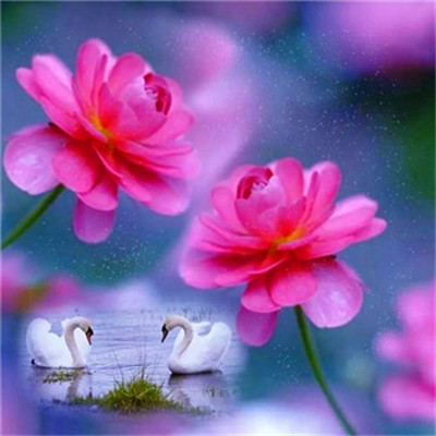 2023年提升运气的微信头像图片(24张)