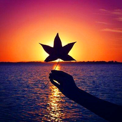 2023年提升运气的微信头像图片(24张)