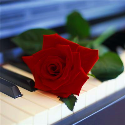 2023年提升运气的微信头像图片(24张)