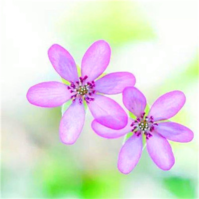 2023年提升运气的微信头像图片(24张)