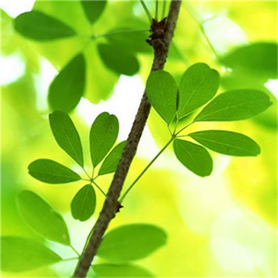 2023年提升运气的微信头像图片(24张)