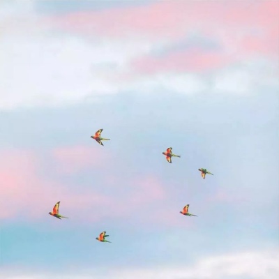 运气越来越好的微信头像大海(精选18张)