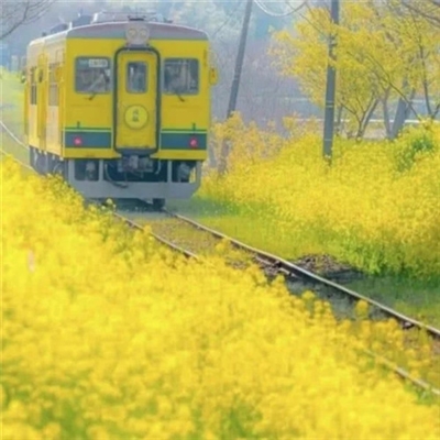 微信头像2023年最新版图片(精选18张)