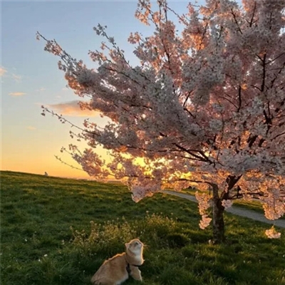 微信头像2023年最新版图片(精选18张)